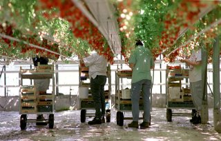 Geschikt personeel snel vindbaar via Seasonalwork.NL