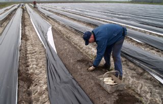 Zorgverzekeringen voor internationale werknemers: let op inhoudelijke verschillen